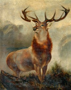 Stag at Bay by James Ford