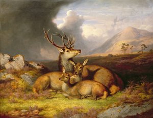 Highland Felicity, Ben Lebrig in the Background by James Giles