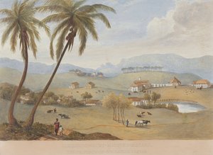 Haughton Court, Hanover, Jamaica by James Hakewill