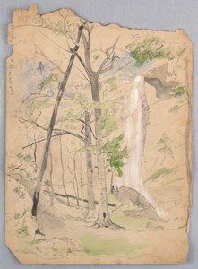 Waterfall by James Henry Moser