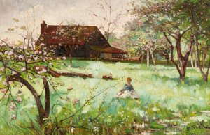 Spring Time