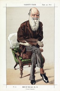 Charles Darwin, Men of the Day, No. 33, Natural Selection, from Vanity Fair, pub. 1871 by James Jacques Joseph Tissot
