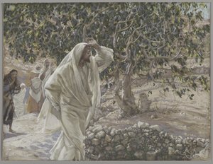 The Accursed Fig Tree, illustration from The Life of Our Lord Jesus Christ