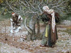 The Barren Fig Tree, Illustration for The Life of Christ by James Jacques Joseph Tissot