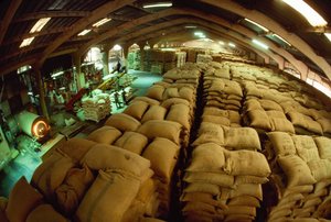 Sacks of cacao stacked up in a conditioning warehouse, Abidjan, Ivory Coast