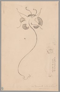 Butterfly (front); Study of Butterfly (back)