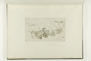 Lobster Pots - Selsea Bill