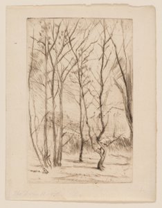 The Dam Wood by James Abbott McNeill Whistler