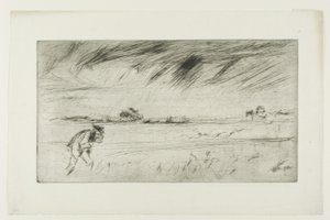The Storm