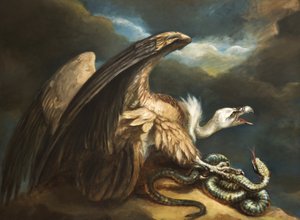 Vulture and Snake