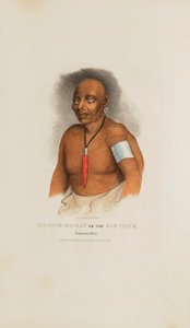 MA-CHE-KA-KAT or the Bad Hawk; A Monomonie Chief, from The Aboriginal Portfolio by James Otto Lewis