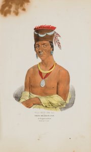 WAA-BIN-DE-BA or the White Headed Eagle; A Chippeway Chief, from The Aboriginal Portfolio by James Otto Lewis