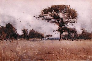 Wind by James Paterson