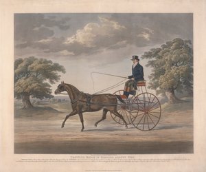 Trotting Match in Harness Against Time