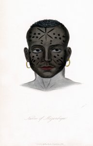 Native of Mozambique