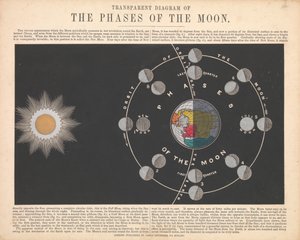 The phases of the moon by James Reynolds