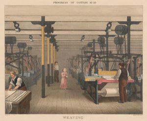 Progress of Cotton: #10 - Weaving