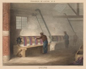 Progress of Cotton: #11 - Dying by James Richard Barfoot