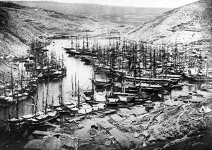 Balaklava Harbour during the Crimean War, c.1855