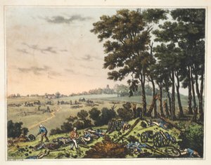 Chateau of Hougoumont: A View of the Wood Skirting the Chateau