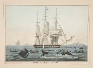 South Sea Whale Fishery by James S. Baillie