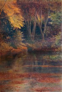 The Silent Pool by James S Ogilvy
