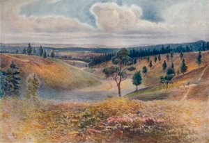 View from Beacon Hill, Hindhead, 1911