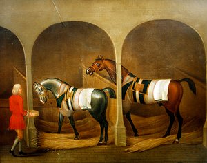 A Groom feeding two Horses in a Stable