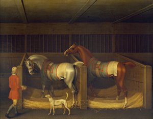 Race Horses owned by Ambrose Phillips
