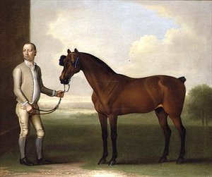 "Regulus", a Dark Bay Racehorse with a Groom