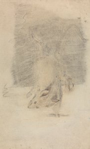A Mouse