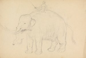 Elephant with Rider by James Sowerby