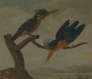 Two Kingfishers beside a Lake