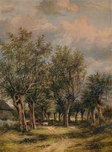 A Lane Near Norwich