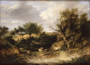 Wooded Landscape by James Stark