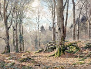 A Welsh Wood by James Thomas Watts