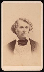 Portrait of Charles Sumner 1811-1874, Before 1874 by James Wallace Black