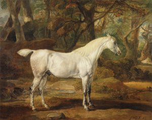A Grey Arabian Stallion, the Property of Sir Watkin Williams-Wynn, c.1815-20