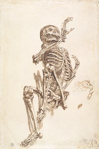 A Human Skeleton (recto) by James Ward