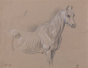 A Mare: Possibly a Study for "L