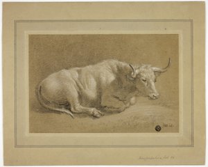 Herefordshire Fat Ox by James Ward