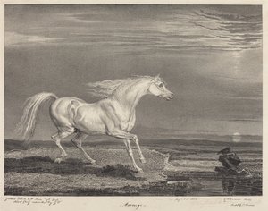 Marengo by James Ward
