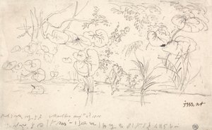Studies of Plants, August 2, 1815 by James Ward