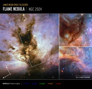 Flame Nebula: Hubble and Webb Observations (Compass Image) by James Webb Space Telescope (NASA)
