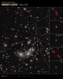 Galaxy Protocluster
