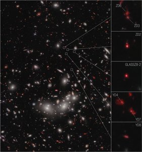 Galaxy Protocluster