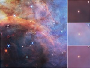 Low Mass Objects within the Flame Nebula (NIRCam Image) by James Webb Space Telescope (NASA)