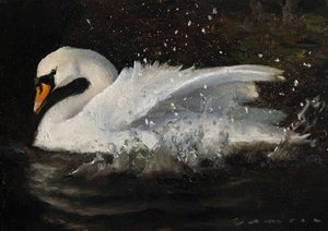 Dancing Swan