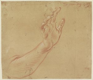 Study of a Right Arm by Jan Anton Garemyn