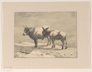 Bull and a Donkey